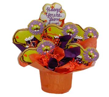 Get Well Cookie Basket